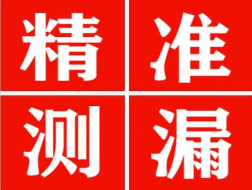 德庆尚嘉漏水精准查找